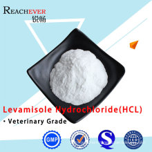 Pharma Grade Levamisole HCl Powder API Levamisole Hydrochloride Powder with GMP